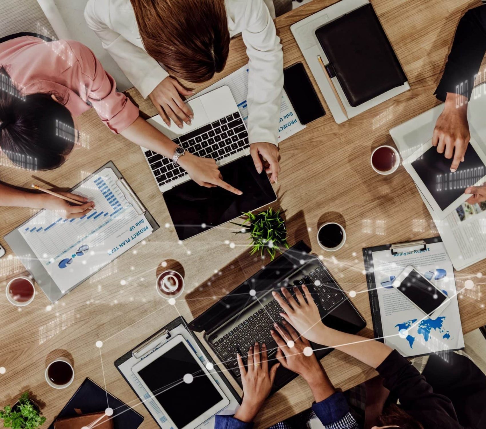 how to build career in digital marketing